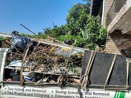 Best Basement Cleanout  in Harwich Port, MA